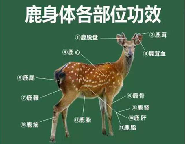 1726894484195751.jpg 00.jpg